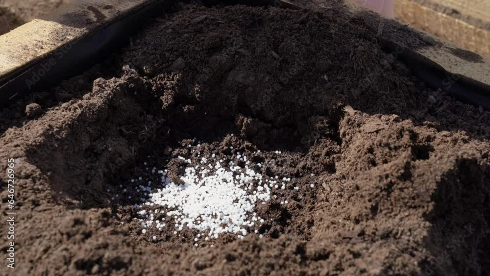 Pouring chemical fertilizers into the hole before planting seedlings in the garden beds Pouring chemical fertilizers into the hole before planting seedlings in the garden beds