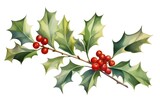 Watercolor holly twig with red berries. Hand drawn illustration.