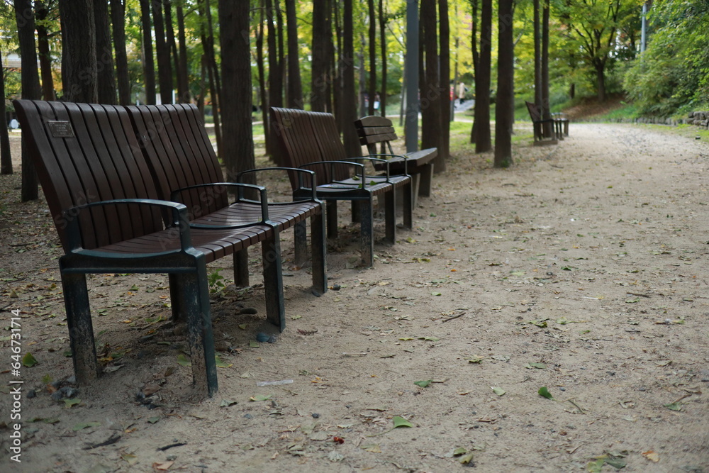 seat in a park seat in a park