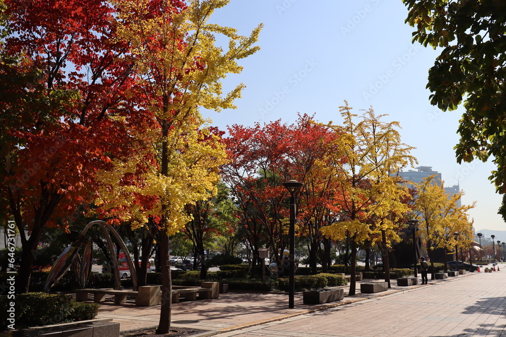 Naklejka premium autumn in the city