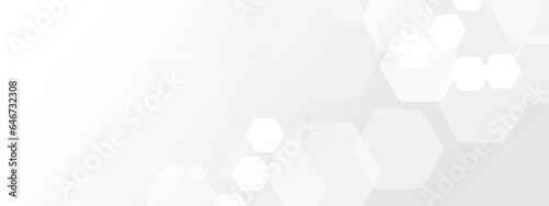 Abstract trendy technology of gradient white and gray hexagonal element pattern artwork design background. Use for ad, poster, presentation, print, artwork.