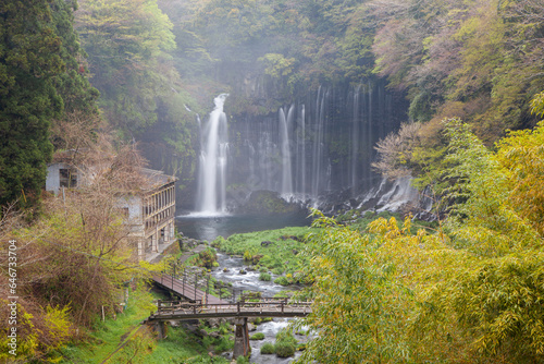 Shiraito Falls in Fuji-Hakone-Izu National Park, Japan. photo