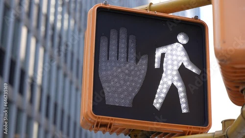 Pedestrian Light in New York City