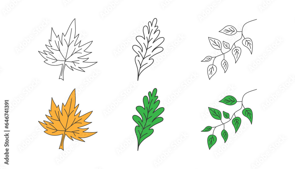 Leafs doodle icon set. Eco, herbarium symbol. Summer, fall, green, natural product. Flat design for web UI. Sketch style. Vector illustration.
