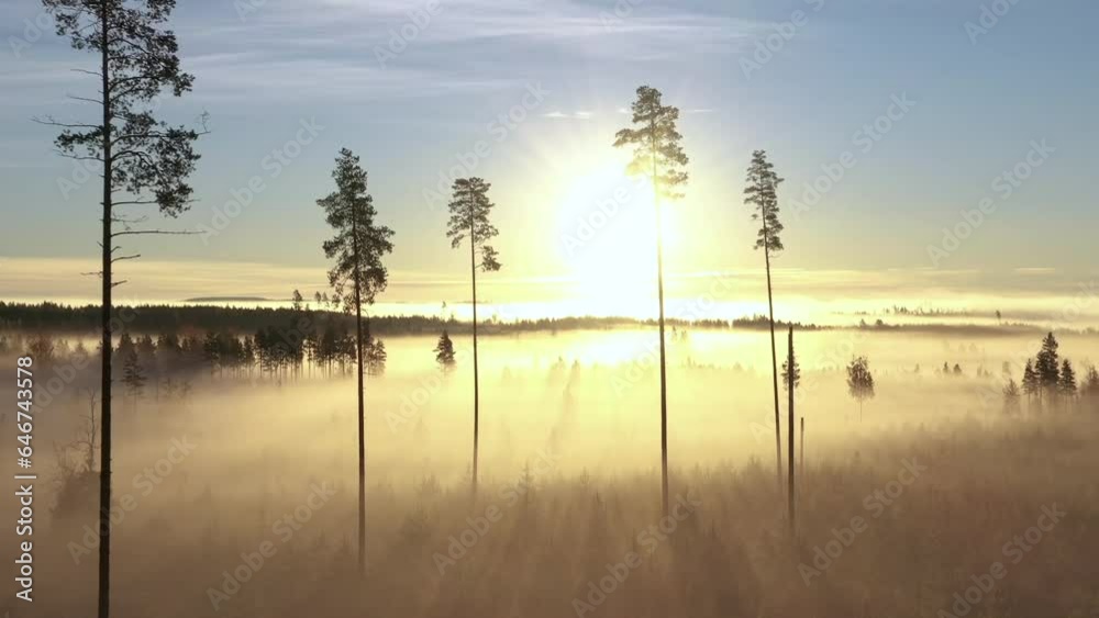 Aerial shot of a sunrise over a Finnish morning scenery going between the trees Aerial shot of a sunrise over a Finnish morning scenery going between the trees