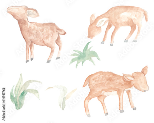 Baby Deer Watercolor Illustration Set