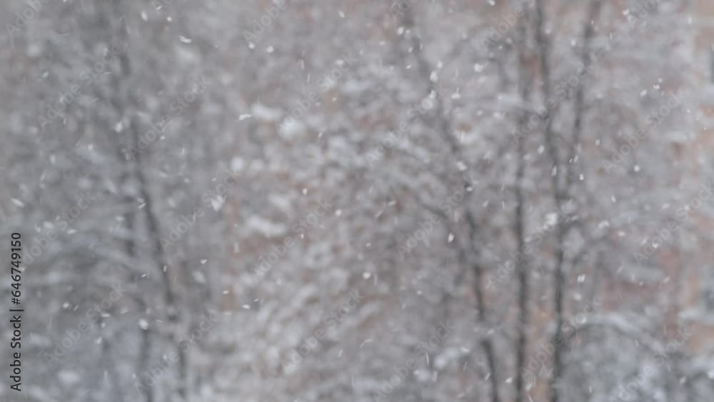 Snowfall Scene, blurred winter background. Snowflakes flying and spinning in the air. Blizzard outside the window. Snowfall Scene, blurred winter background. Snowflakes flying and spinning in the air. Blizzard outside the window.