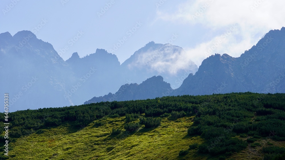Tatrzański Park Narodowy Zakopane, mountains view góry panorama Tatr  - obrazy, fototapety, plakaty 