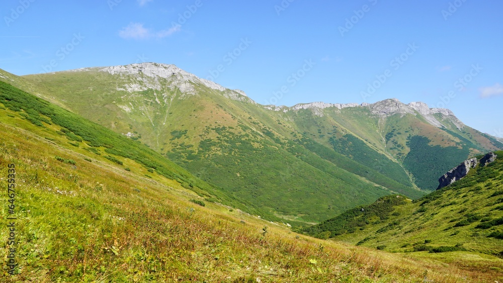 landscape in summer, Tatrzański Park Narodowy Zakopane, mountains view góry panorama Tatr 