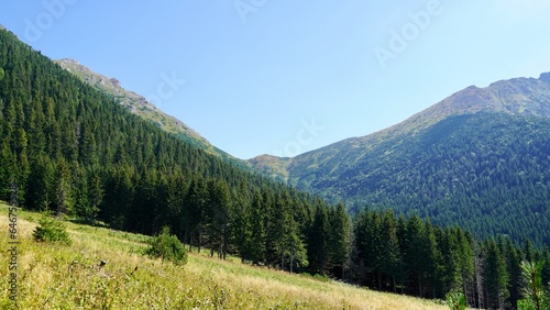 panorama of the mountains, Tatrzański Park Narodowy Zakopane, mountains view góry panorama Tatr 