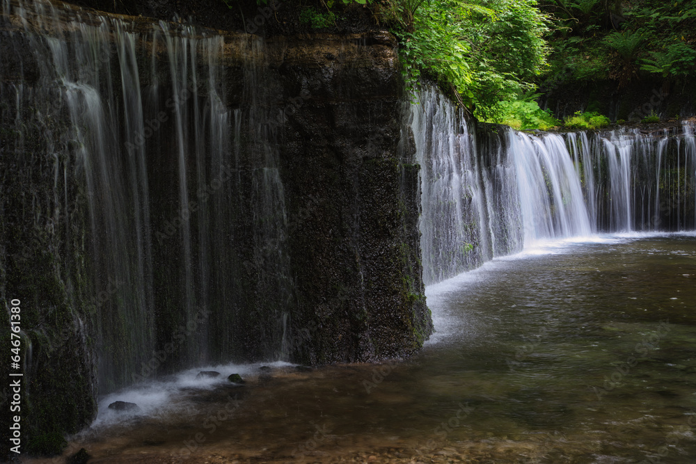 白糸の滝 白糸の滝