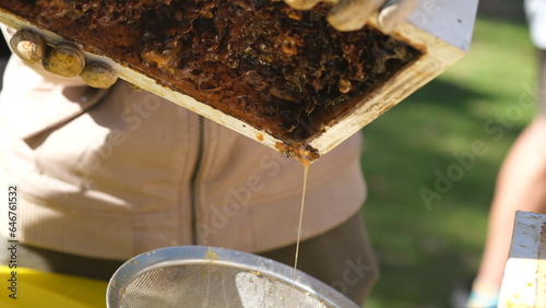 Pouring and extracting Sugarbag honey from  beehives box. To extract honey by grinding or pulverizing its beehives and pouring. photo