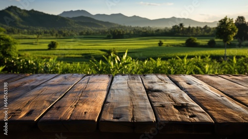 old wooden table next to green rice fields in the evening at sunset © MBRAMO