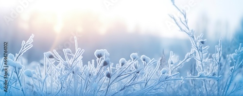 Frozen snowy grass, winter natural abstract background. beautiful winter landscape. photo