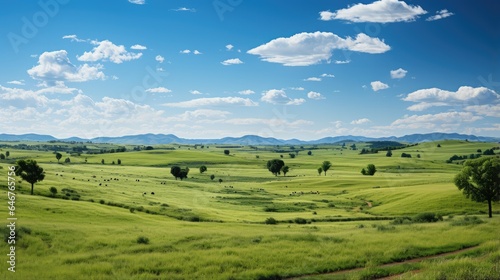 panorama of beautiful green countryside with clear sky © MBRAMO