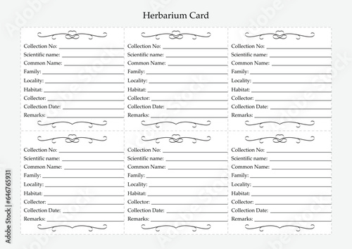 Herbarium label sheet. Plant identification template. Collection and preservation of plant materials. Vector
