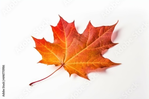 Autumn maple leaf isolated on white background. Generative AI