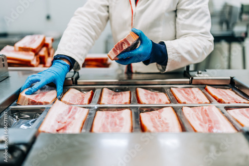 Production line for packing and vacuuming delicious pork meat bacon into small packages. Meat food industry work