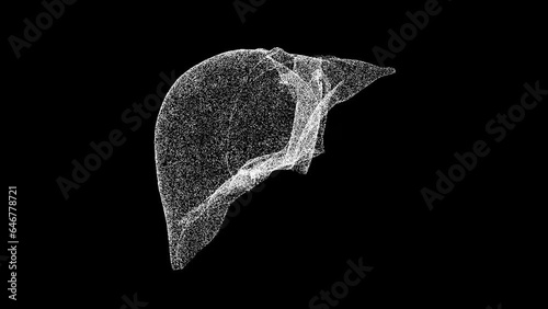 3D Human liver rotates on black background. Science and medicine concept. Internal organ. Business advertising backdrop. For title, text, presentation. 3d animation 60 FPS