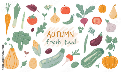 Organic healthy eating food illustrations. Vegetables and fruits hand drawn vector illustrations on white background. Organic, farm and delicious food elements. Harvest and holiday concept.