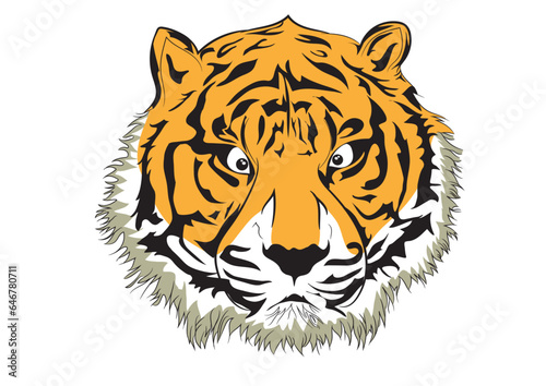 Graphic illustration of Tiger head. 
