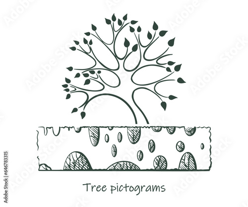 Sketch hedge tree vector illustration hand drawn23