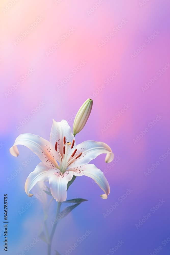 Fototapeta premium On a sunny day, a delicate white lily blossom stands proudly against a bright blue sky, its petals and pedicel glistening in the warm sunlight