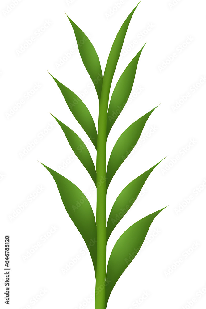 Fototapeta premium green leaves