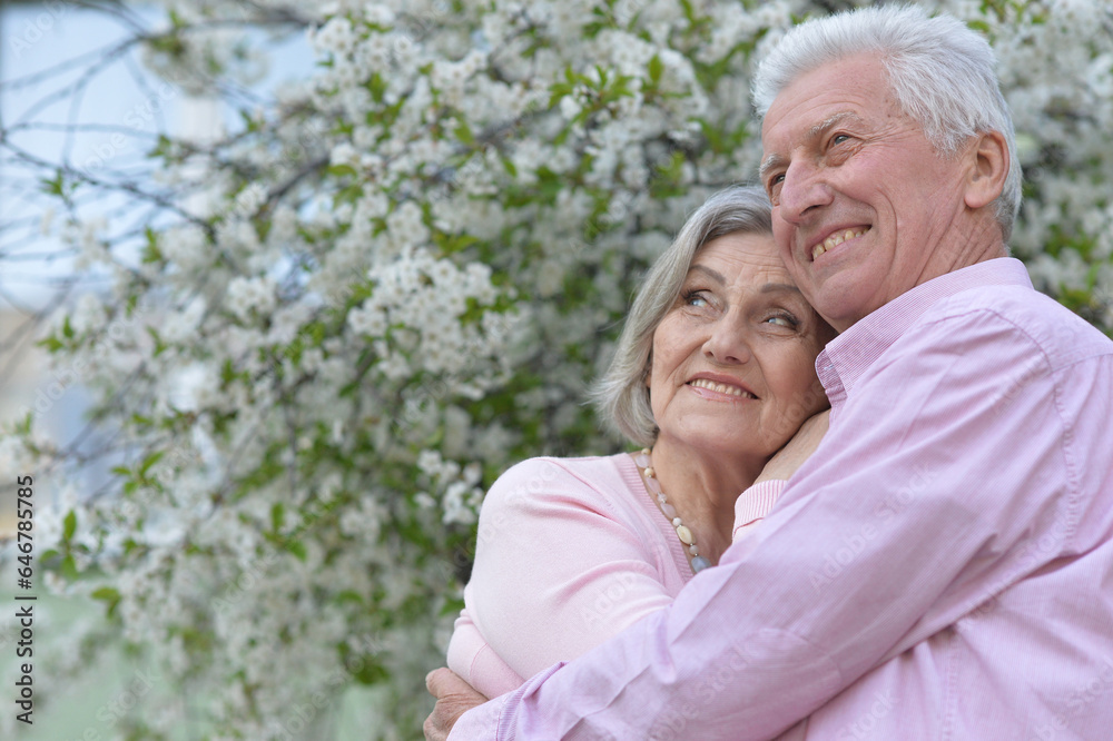 Portrait of beautiful senior couple hugging on a lilac background in the park Portrait of beautiful senior couple hugging on a lilac background in the park