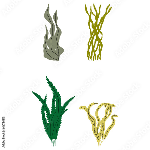 Fototapeta Naklejka Na Ścianę i Meble -  Coral. Underwater plant. Vector illustration in scandinavian style. Seaweed.