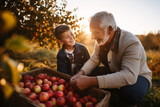 Grandfather and grandson visit the apple orchard, enjoy picking apples in the orchard, fresh air and fresh fruits.