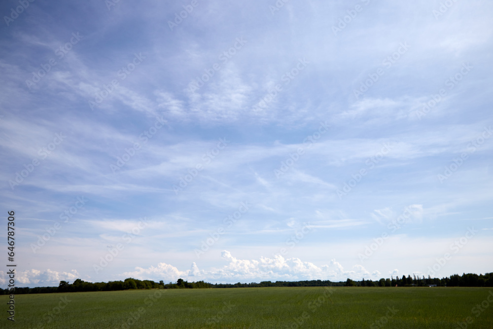 Summere scenery with a field and beautiful cloudy sky Summere scenery with a field and beautiful cloudy sky