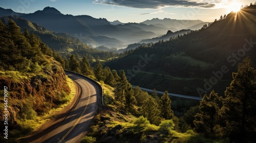 Top view of mountain road in forest at sunrise