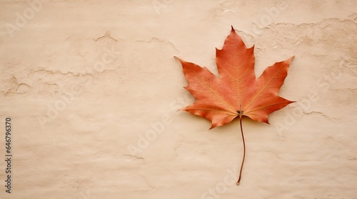 Red maple leaf on the wall background.