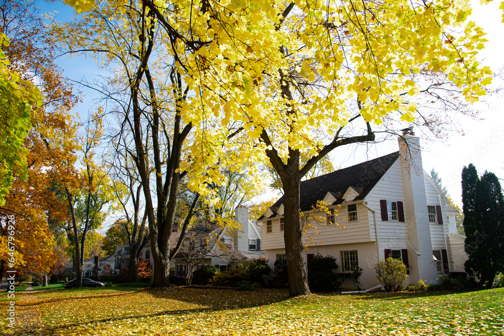 Upscale neighborhood colorful fall foliage of yellow maple trees, two story houses, thick rug of autumn leaves along quite residential street in Rochester, Upstate New York, USA