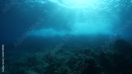 Wallpaper Mural choppy water wavy sea underwater wave hit on rocks and makes foam on the surface of the sea ocean scenery backgrounds Torontodigital.ca