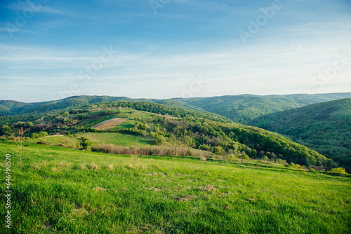 Beautiful hills with trees, green grass and cloudy sky in spring evening. Panoramic background of gentle spring nature in green tones