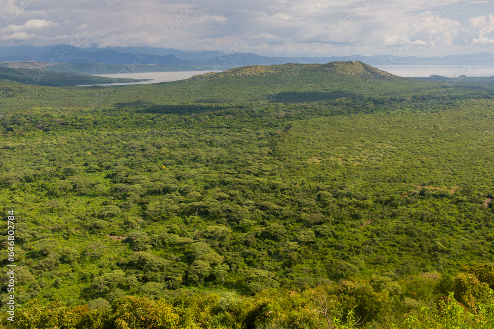 Aerial view of Nechisar National Park with Chamo lake, Ethiopia