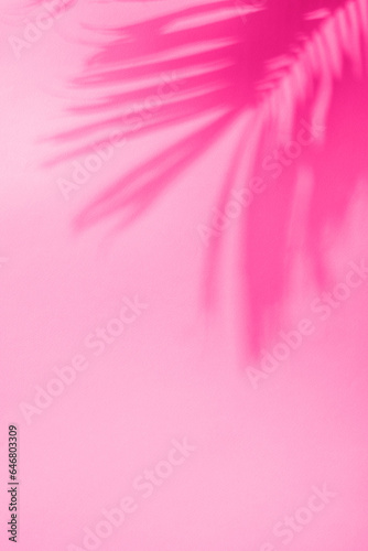 Palm leaf shadow on Barbie pink tones background. Minimal summer exotic concept with copy space