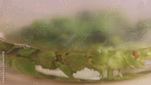 Brewing tea from sideritis plant also known as ironwort or mountain tea, close up
