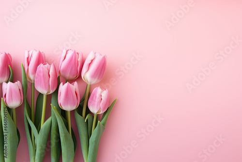 Pin tulips on a pink  background, place for a text  © reddish