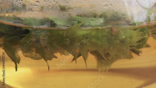 Tea infusion from sideritis plant  also know as ironwort or mountain tea, close up
