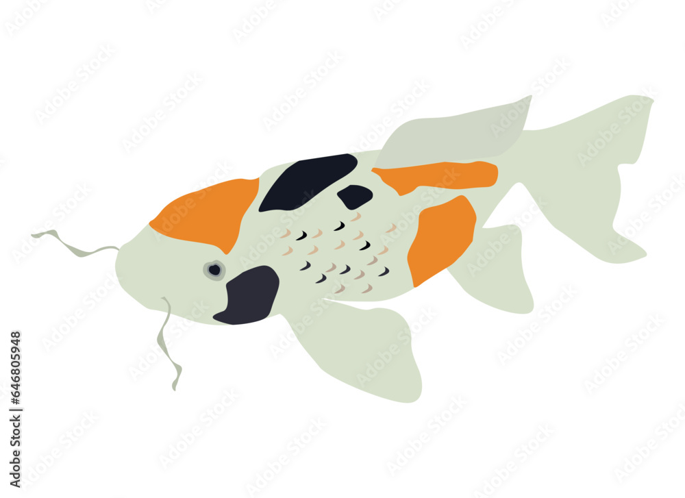 carp in a simple style. vector illustration isolated on white background. carp in a simple style. vector illustration isolated on white background.