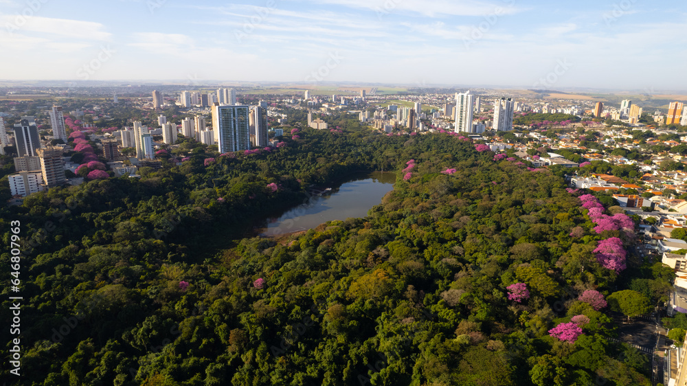Obraz premium Maringá, vista aérea da cidade de maringá, paraná, brasil. Catedral de Maringá, Parque do Ingá.