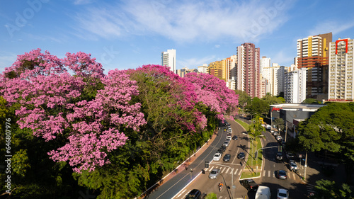 Fototapeta Naklejka Na Ścianę i Meble -  Maringá, vista aérea da cidade de maringá, paraná, brasil. Catedral de Maringá, Parque do Ingá.