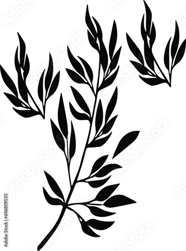 silhouette branches with leaf and stem in modern style. Vector leaves isolated.Hand drawn decorative botanical elements. EPS 10