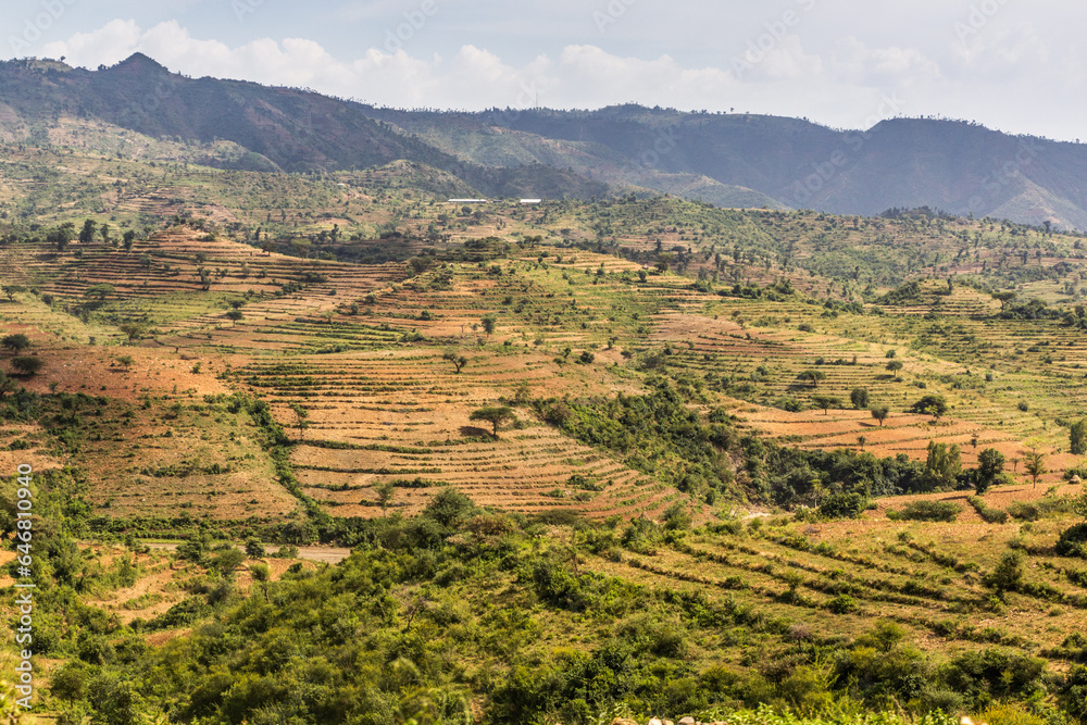 Fototapeta premium Terraced fields of Konso landscape, Ethiopia