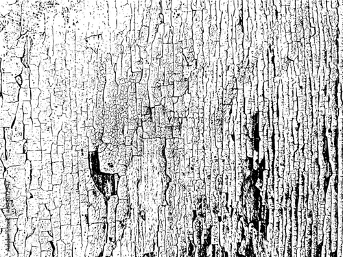 Peeling black and white paint on weathered wood board. Distressed, authentic grunge texture for design overlay. Vector illustration
