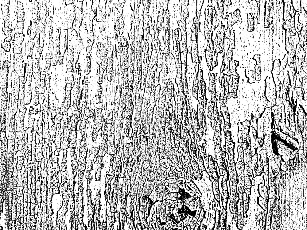 Fototapeta premium A vintage grunge background with cracked and weathered paint on a wooden surface. A unique texture for creative design projects. Vector illustration 