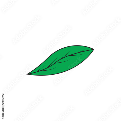 Leaf